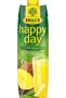   RAUCH Gyümölcslé, 100%, 1 l, RAUCH "Happy day", ananász