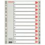 ESSELTE Regiszter, műanyag, A4 Maxi, 1-12, ESSELTE, szürke