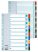 ESSELTE Regiszter, karton, A4, 1-10, ESSELTE "Mylar" ESSELTE Regiszter, karton, A4, 1-10, ESSELTE "Mylar"