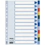 ESSELTE Regiszter, műanyag, A4, 12 részes, ESSELTE