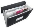   ESSELTE Harmonikamappa, A4, PP, 6 rekeszes, ESSELTE "Vivida", fekete