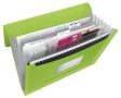   ESSELTE Harmonikamappa, A4, PP, 6 rekeszes, ESSELTE "Vivida", zöld
