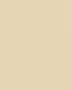   FOLIA Dekorkarton, 2 oldalas, 50x70cm, 220 g, 10 lap, FOLIA, bézs