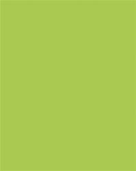 FOLIA Dekorkarton, 2 oldalas, 50x70cm, 220 g, 10 lap, FOLIA, tavaszzöld