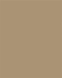 FOLIA Dekorkarton, 2 oldalas, 50x70cm, 220 g, 10 lap, FOLIA, őzbarna