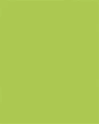 FOLIA Színes papír, A3, 130 g, 50 lap, FOLIA, tavaszzöld