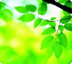 FELLOWES Egéralátét, újrahasznosított, FELLOWES "Earth Series™", levelek FELLOWES Egéralátét, újrahasznosított, FELLOWES "Earth Series™", levelek