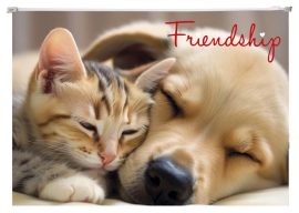 PANTA PLAST Irattartó tasak, A4, PP, cipzáras, 180 mikron, PANTA PLAST "Friendship" PANTA PLAST Irattartó tasak, A4, PP, cipzáras, 180 mikron, PANTA PLAST "Friendship"