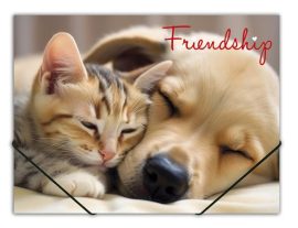 PANTA PLAST Gumis mappa, 15 mm, PP, A4, PANTA PLAST "Friendship" PANTA PLAST Gumis mappa, 15 mm, PP, A4, PANTA PLAST "Friendship"