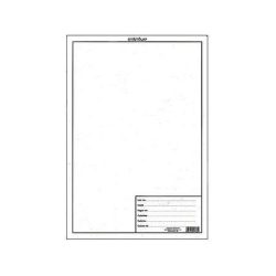 . Növénygyűjtő pótlap, A4 . Növénygyűjtő pótlap, A4