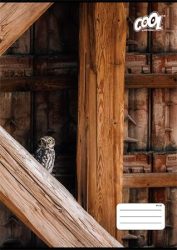 COOL BY VICTORIA Füzet, tűzött, A4, vonalas, 32 lap, COOL BY VICTORIA "Texture", "81-32" COOL BY VICTORIA Füzet, tűzött, A4, vonalas, 32 lap, COOL BY VICTORIA "Texture", "81-32"