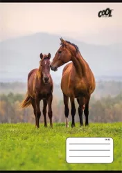 COOL BY VICTORIA Füzet, tűzött, A5, vonalas, 32 lap, 1. osztály, COOL BY VICTORIA "Free Spirit", "14-32"