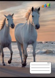 COOL BY VICTORIA Füzet, tűzött, A5, vonalas, 32 lap, 3. osztály, COOL BY VICTORIA, "Horses", "12-32" COOL BY VICTORIA Füzet, tűzött, A5, vonalas, 32 lap, 3. osztály, COOL BY VICTORIA, "Horses", "12-32"