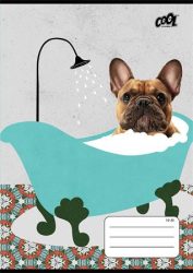 COOL BY VICTORIA Füzet, tűzött, A5, vonalas, 32 lap, 2. osztály, COOL BY VICTORIA "Bath", "16-32" COOL BY VICTORIA Füzet, tűzött, A5, vonalas, 32 lap, 2. osztály, COOL BY VICTORIA "Bath", "16-32"