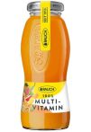   RAUCH Gyümölcslé, 100%, szénsavmentes, 0,2 l, RAUCH "Prémium", multivitamin