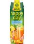   RAUCH Gyümölcslé, 100%, 1l, RAUCH "Happy day", multivitamin mild