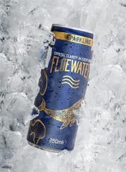 FLOEWATER Ásványvíz, szénsavas, 250 ml, FLOEWATER FLOEWATER Ásványvíz, szénsavas, 250 ml, FLOEWATER