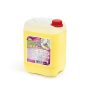 CIVIS CLEAN Mosogatószer, fertőtlenítő, 5 l, CIVIS CLEAN
