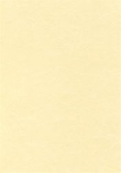 APLI Előnyomott papír, A4, 95 g, pergamen hatású, APLI, pezsgő APLI Előnyomott papír, A4, 95 g, pergamen hatású, APLI, pezsgő