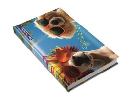 REALSYSTEM Diák zsebkönyv, heti, 2026/2027 tanév, REALSYSTEM, summer