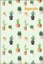   DAYLINER Naptár, tervező, A5, heti, DAYLINER, "Colors", Cactus