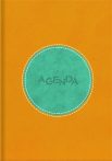 DAYLINER Naptár, tervező, A5, napi, DAYLINER "Central", sárga-türkiz DAYLINER Naptár, tervező, A5, napi, DAYLINER "Central", sárga-türkiz