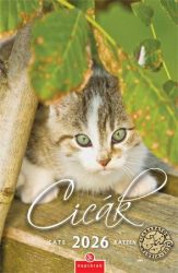 CSG Naptár, fali, CSG, "Cicák" CSG Naptár, fali, CSG, "Cicák"