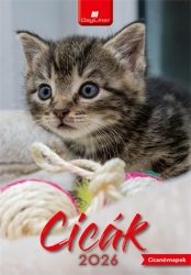 DAYLINER Naptár, fali, DAYLINER, "Cicák"