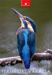 DAYLINER Naptár, fali, DAYLINER, "Természet varázsa" DAYLINER Naptár, fali, DAYLINER, "Természet varázsa"