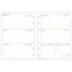 SATURNUS Kalendárium betét, tervező, heti, "L", SATURNUS, fehér 2026