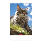 TOPTIMER Naptár, fali, TOPTIMER, "Cicák" TOPTIMER Naptár, fali, TOPTIMER, "Cicák"