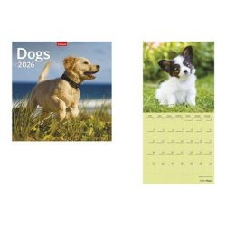 TOPTIMER Naptár, fali, TOPTIMER, "Dogs" TOPTIMER Naptár, fali, TOPTIMER, "Dogs"