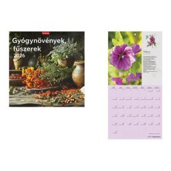 TOPTIMER Naptár, fali, TOPTIMER, "Gyógynövények, fűszerek" TOPTIMER Naptár, fali, TOPTIMER, "Gyógynövények, fűszerek"
