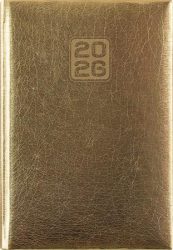 DAYLINER Naptár, tervező, A5, napi, DAYLINER, "Mirror", arany DAYLINER Naptár, tervező, A5, napi, DAYLINER, "Mirror", arany