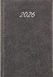 DAYLINER Naptár, tervező, A5, napi, DAYLINER, "Rebel", szürke