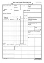 VICTORIA PAPER Nyomtatvány, nemzetközi tehergépjármű menetlevél, A3, VICTORIA PAPER "B.7300-237" VICTORIA PAPER Nyomtatvány, nemzetközi tehergépjármű menetlevél, A3, VICTORIA PAPER "B.7300-237"