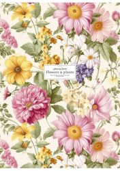 SHKOLYARYK Füzet, tűzött, A4, vonalas, 80 lap, SHKOLYARYK "Flowers and plants", vegyes SHKOLYARYK Füzet, tűzött, A4, vonalas, 80 lap, SHKOLYARYK "Flowers and plants", vegyes