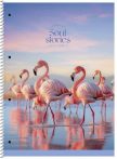   SHKOLYARYK Spirálfüzet, A4+, vonalas, 80 lap, SHKOLYARYK "Soul Stories", vegyes