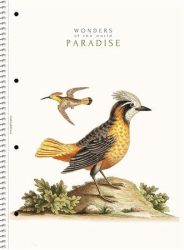 SHKOLYARYK Spirálfüzet, A4, vonalas, 80 lap, SHOLYARYK "College Block Wonders", vegyes SHKOLYARYK Spirálfüzet, A4, vonalas, 80 lap, SHOLYARYK "College Block Wonders", vegyes