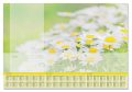  SIGEL Könyökalátét, 595x410 mm, 3 éves tervezővel, SIGEL "Lovely Daisies"