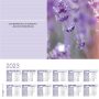   SIGEL Könyökalátét, 595x410 mm, 3 éves, heti tervezővel, SIGEL "Fragrant Lavender"