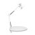 MAUL Asztali lámpa, energiatakarékos, felfogatható, MAUL "Study", fehér