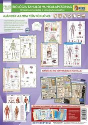 STIEFEL Tanulói munkalap csomag, 5 munkalap, 1 alátét, filc, STIEFEL "Biológia" STIEFEL Tanulói munkalap csomag, 5 munkalap, 1 alátét, filc, STIEFEL "Biológia"