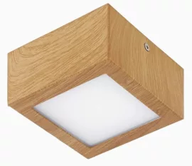 Eglo 95195 MENNYEZETI LÁMPA