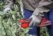 Einhell GP-LS 18/28 LI BL - SOLO  AKKUS ÁGVÁGÓ PROFESSIONAL