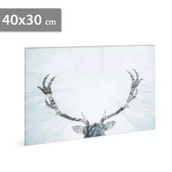 Family Decor 58481A LED-ES FALI KÉP RÉNSZARVAS, 40X30